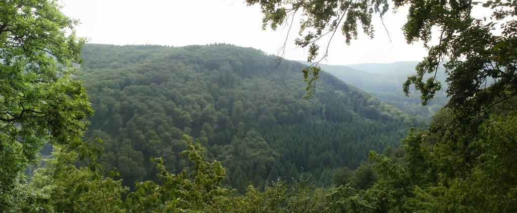 Landhotel Westerwald Ehlscheid Εξωτερικό φωτογραφία